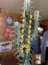 Load image into Gallery viewer, Honey Dahlia Squash Blossom
