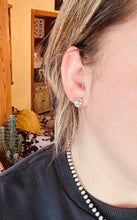 Load image into Gallery viewer, Wild Horse Post Earrings
