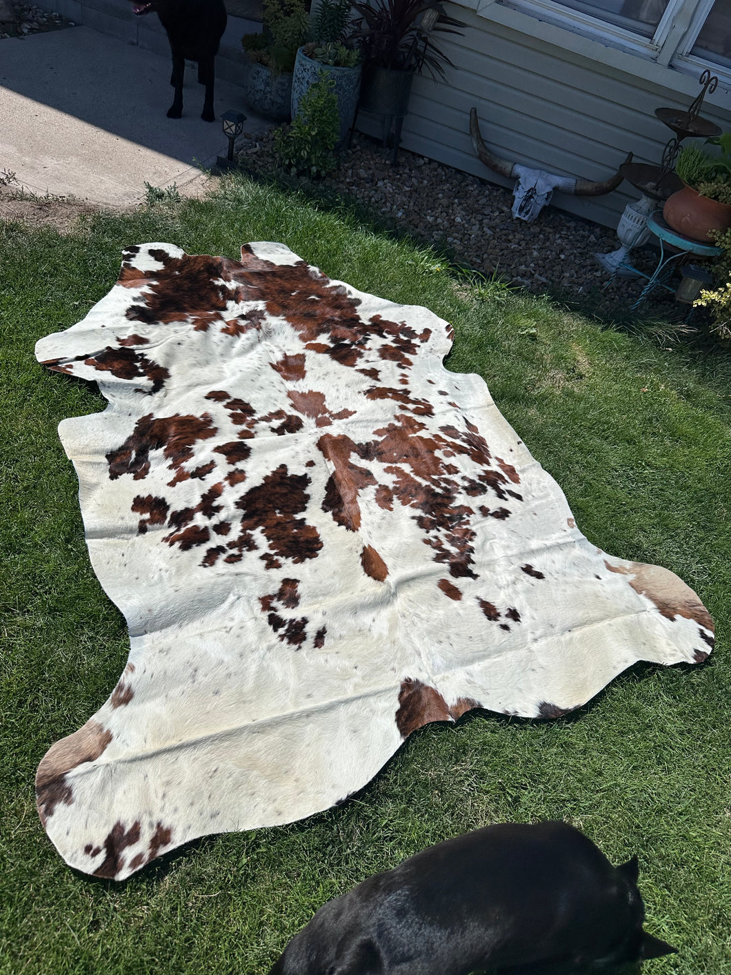 Spotted Cowhide Rug