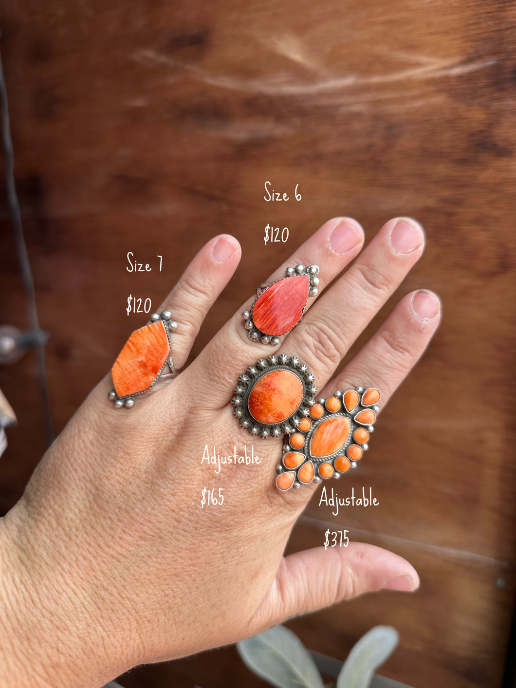 Orange Spiney Oyster Rings
