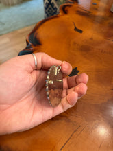 Load image into Gallery viewer, Old Pawn Pin-Pendant
