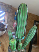 Load image into Gallery viewer, 9mm Saucer Navajo Pearl Necklace
