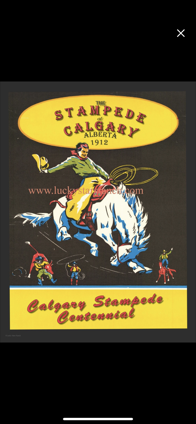 18”x24” Calgary Poster *Preorder