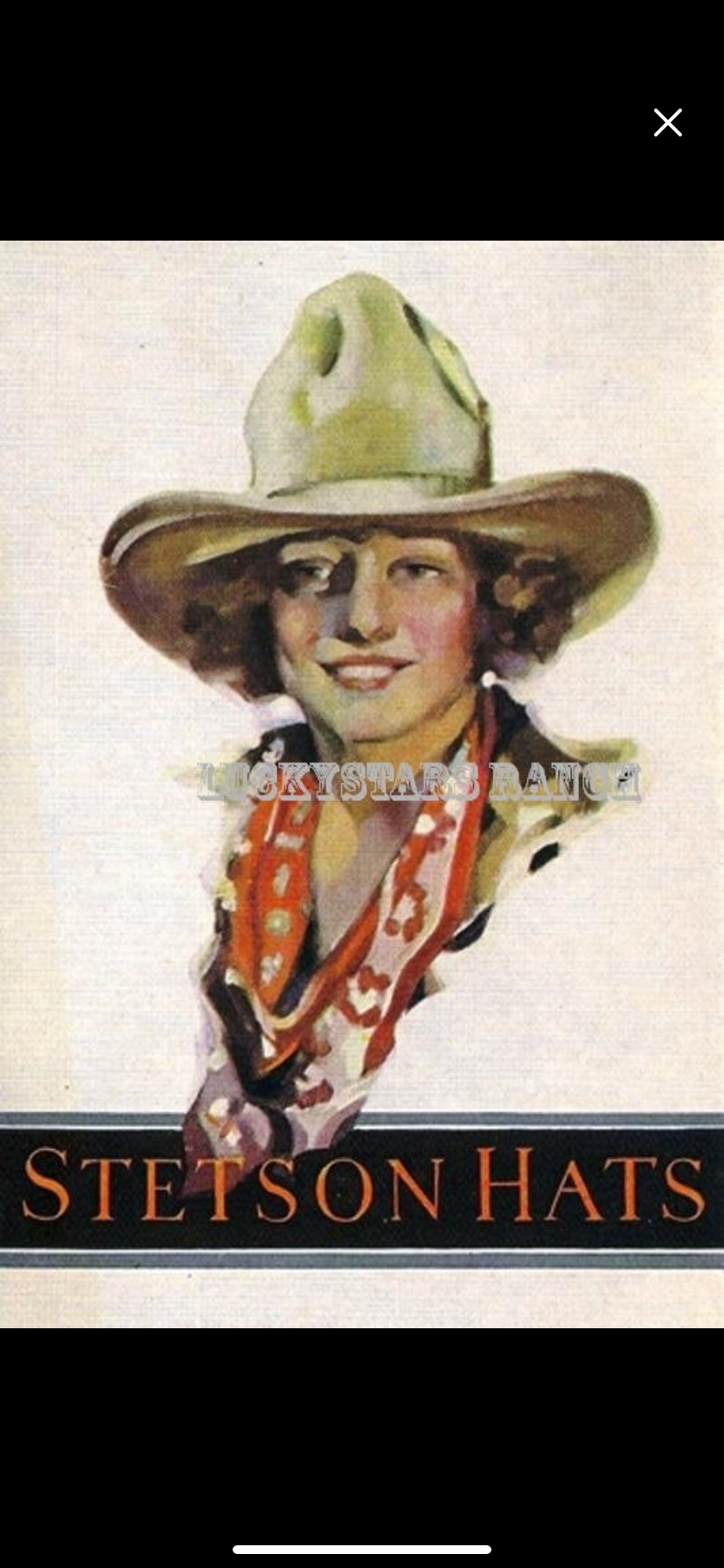 18”x24” Stetson Girl Poster *Preorder